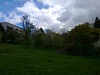 Borovina