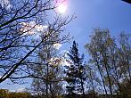 Borovina