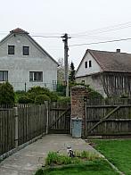 Třibřichy