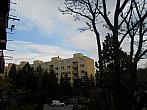 Borovina