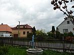 Třibřichy