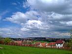 Borovina