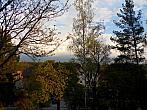 Borovina