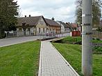 Třibřichy