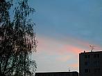 Borovina