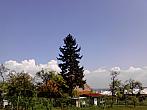 Kvasice