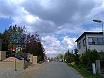 Borovina