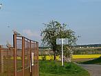 Třibřichy