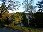 Borovina