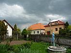 Třibřichy