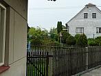 Třibřichy