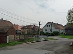 Třibřichy