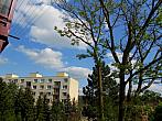 Borovina