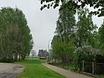 Třibřichy
