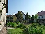 Třibřichy