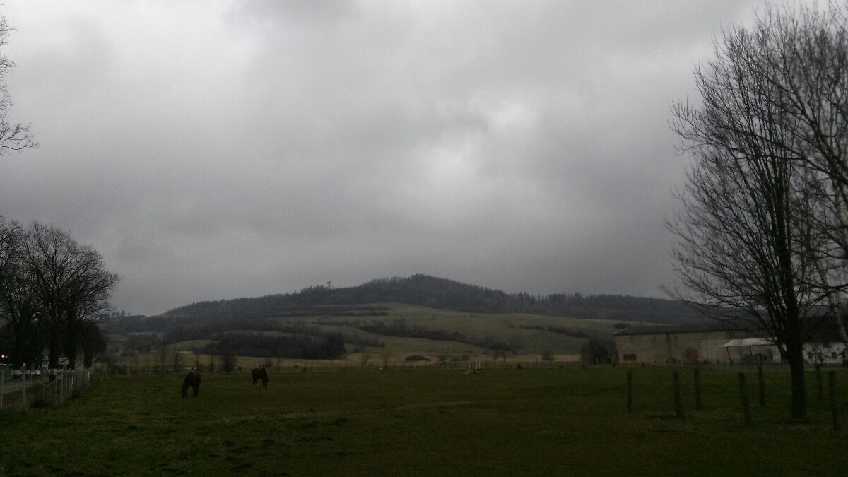 Město Albrechtice