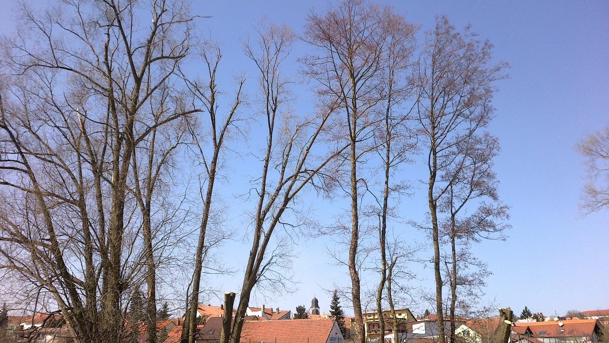Velká Bíteš
