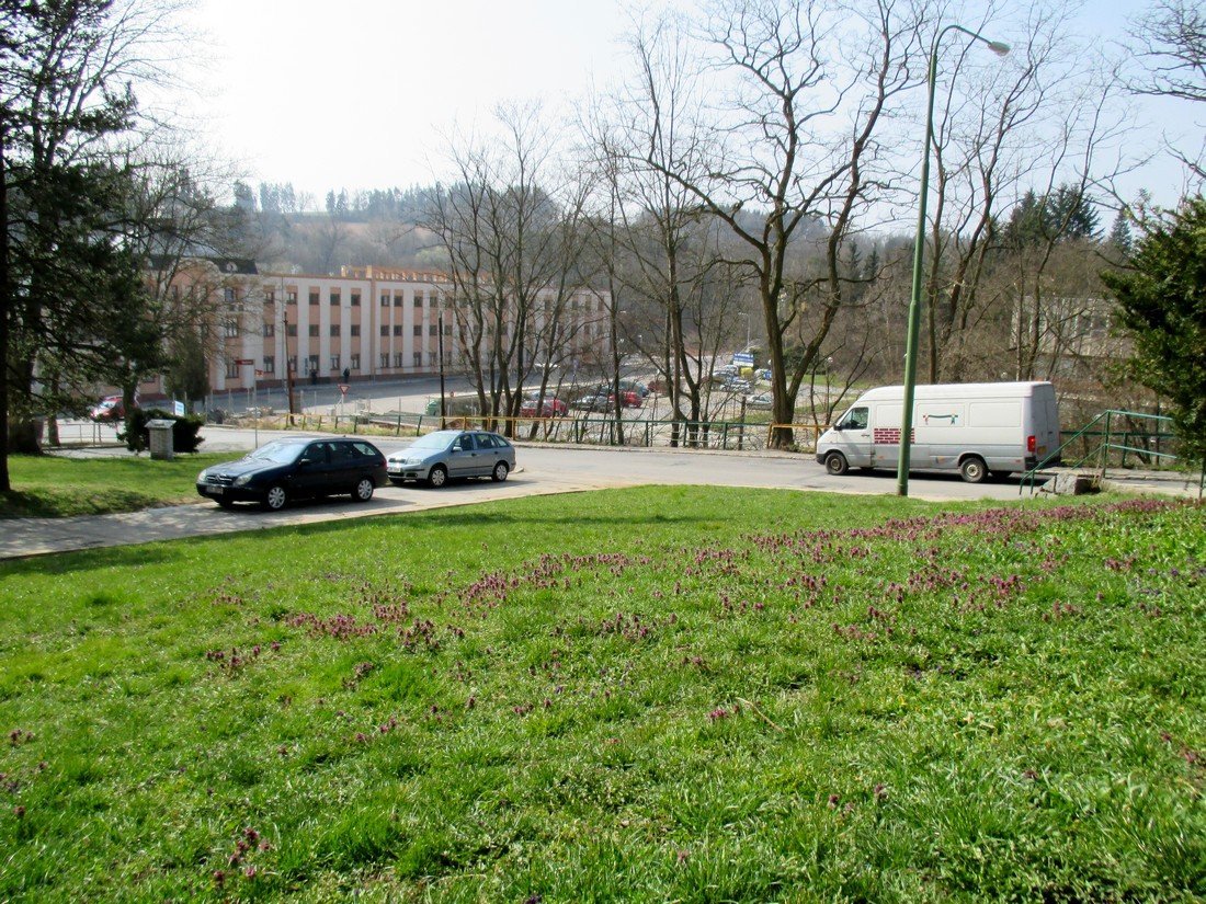 Borovina