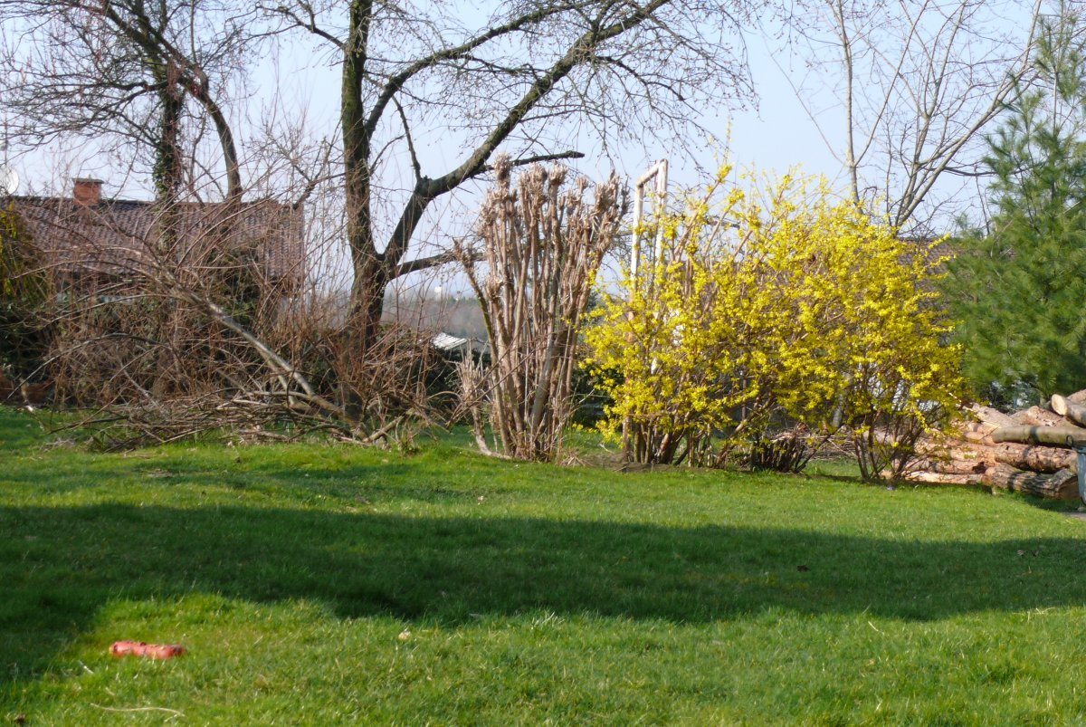 Hradec Králové
