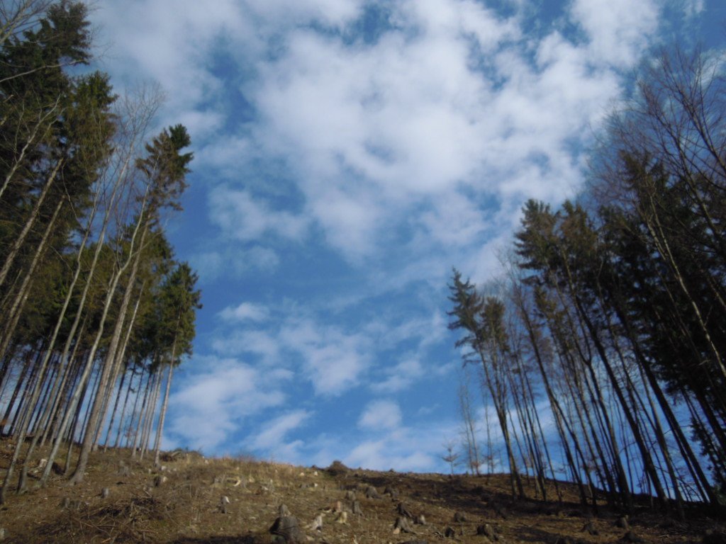 Vítkov