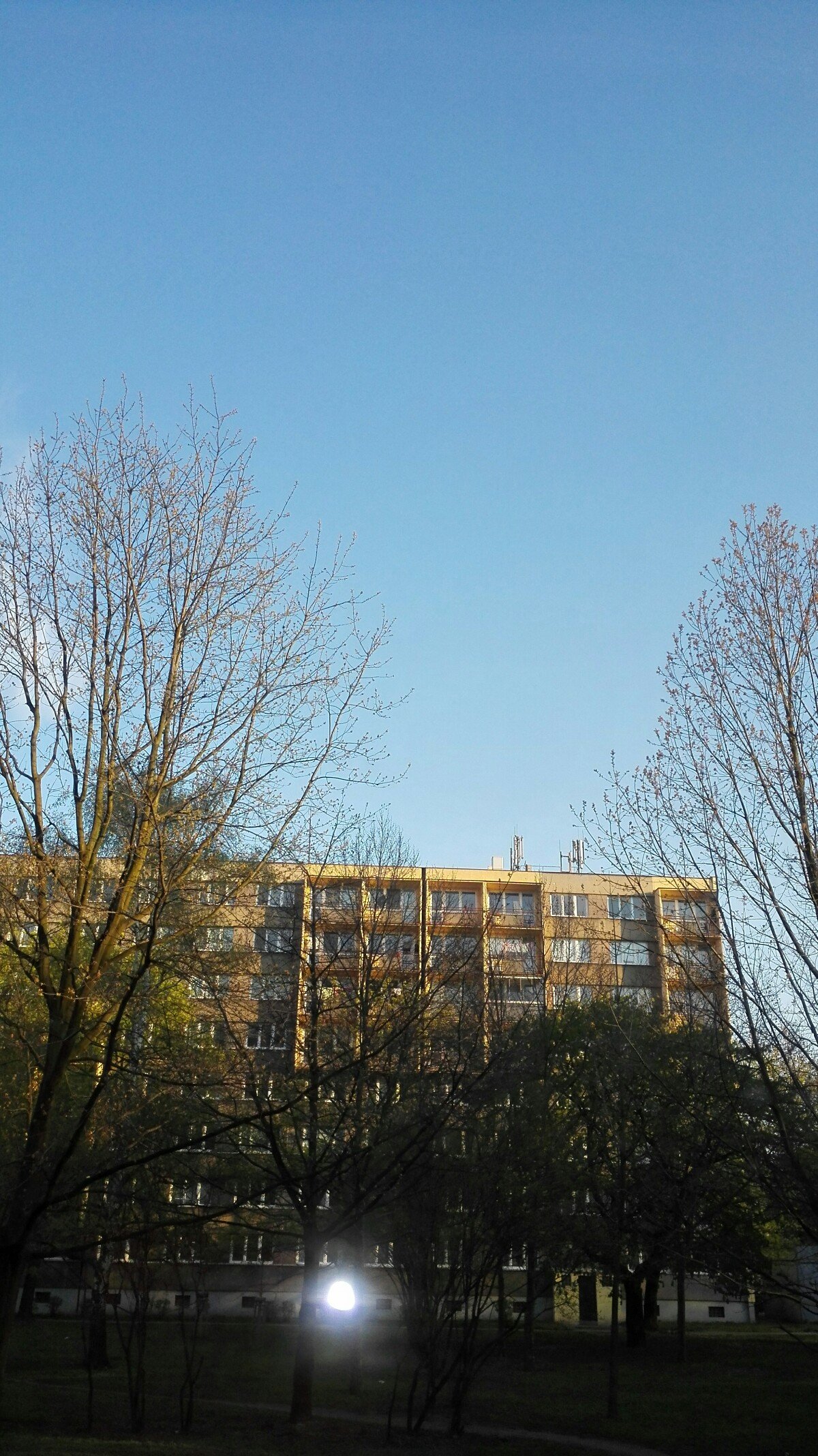 Ostarva