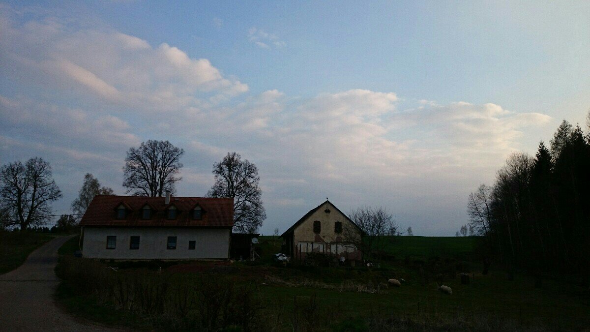 Hostinné