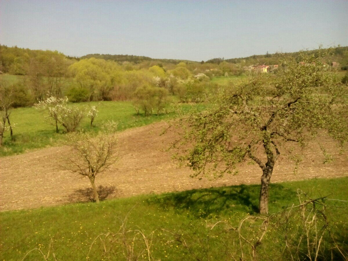 Habrovany