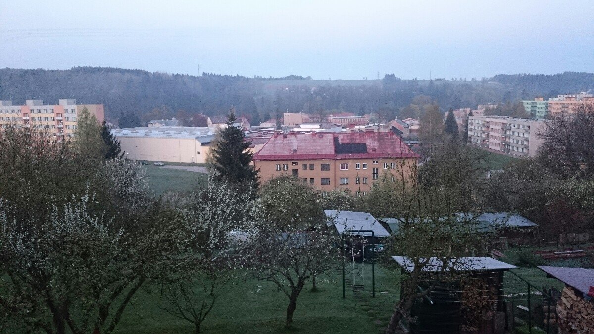 Hostinné