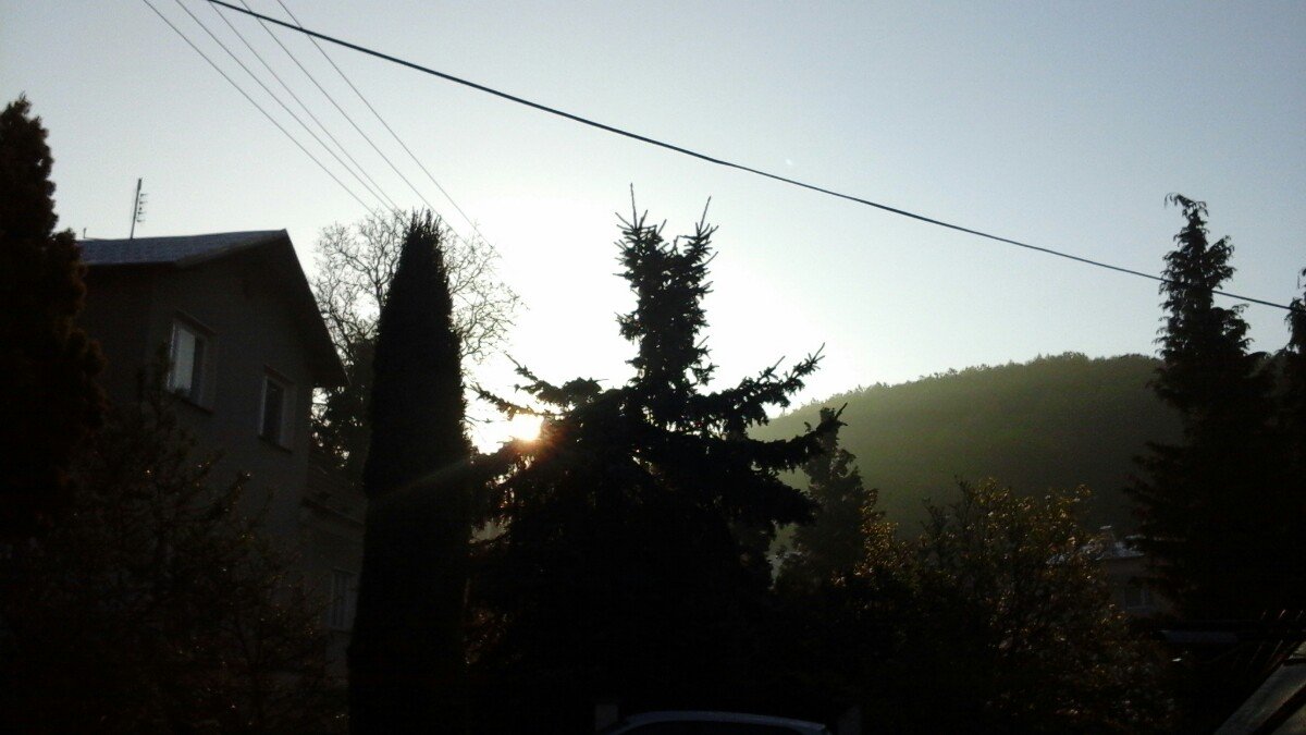 Šternberk -lesni
