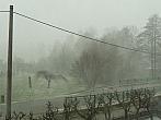 Letohrad