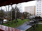 Borovina