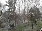 Borovina