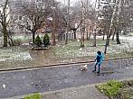 Borovina