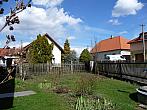 Třibřichy