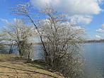 Neratovice