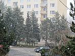 Borovina