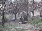 Borovina