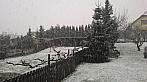 Opava