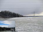 Borovina