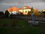 Třibřichy