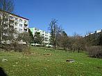 Borovina