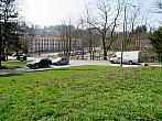 Borovina