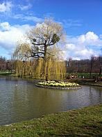 Holešov