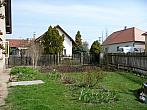 Třibřichy