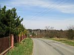 Borovina