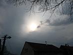 Třibřichy