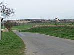 Třibřichy
