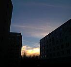 Borovina