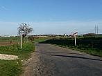 Třibřichy