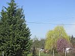 Neratovice